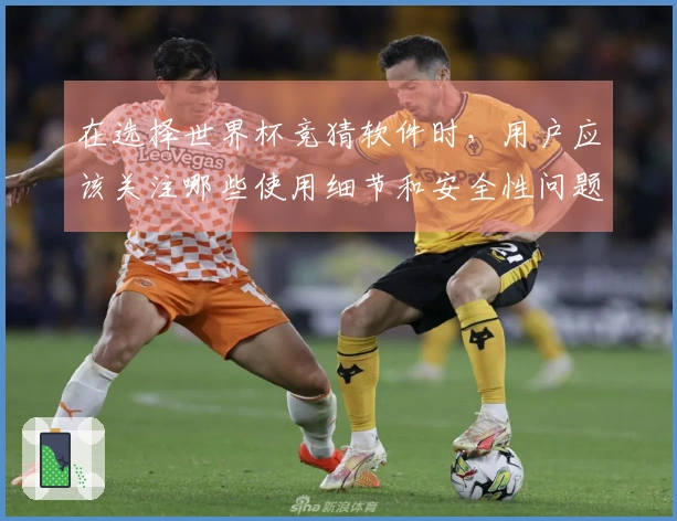 在选择世界杯竞猜软件时，用户应该关注哪些使用细节和安全性问题？