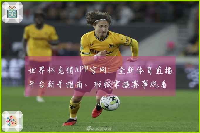 世界杯竞猜APP官网：全新体育直播平台新手指南，轻松掌握赛事观看与竞猜入口