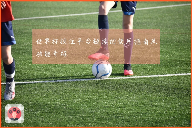 世界杯投注平台链接的使用指南及功能介绍