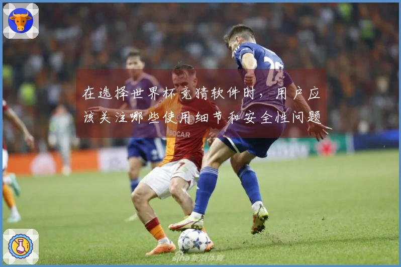 在选择世界杯竞猜软件时，用户应该关注哪些使用细节和安全性问题？