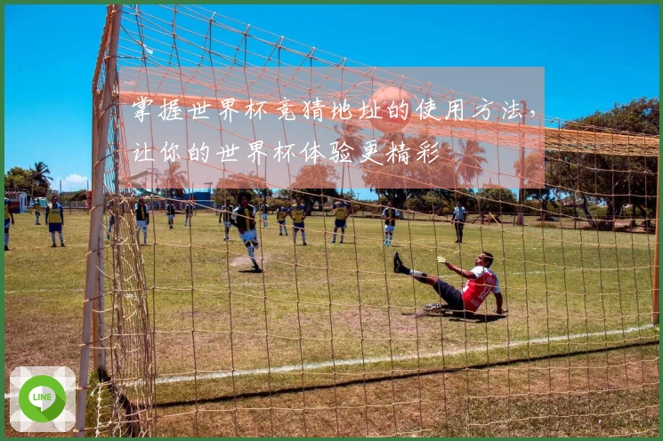 掌握世界杯竞猜地址的使用方法，让你的世界杯体验更精彩