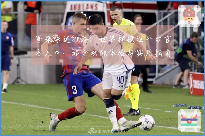 资深球迷推荐：世界杯投注平台官方入口，超全功能体验与实用指南