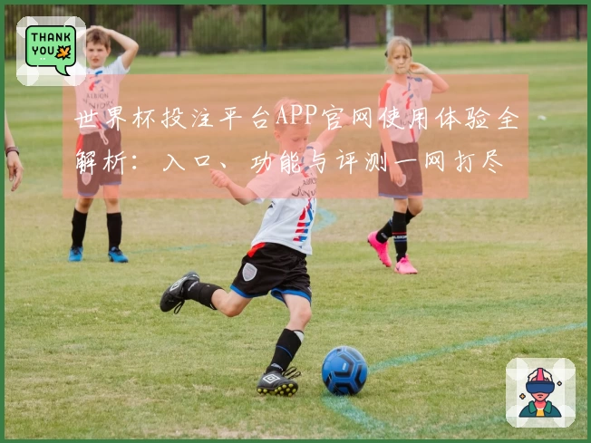 世界杯投注平台APP官网使用体验全解析：入口、功能与评测一网打尽
