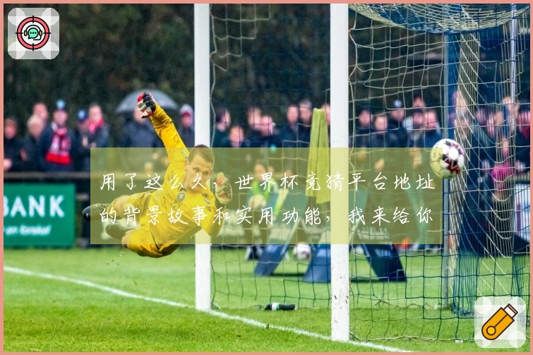 用了这么久，世界杯竞猜平台地址的背景故事和实用功能，我来给你好好讲讲