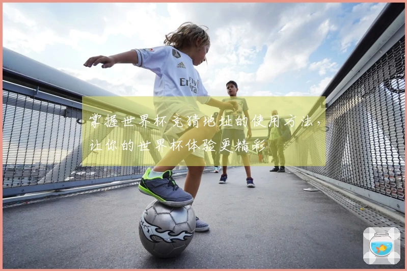 掌握世界杯竞猜地址的使用方法，让你的世界杯体验更精彩