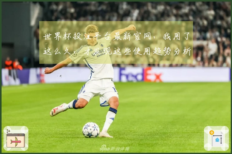 世界杯投注平台最新官网，我用了这么久，才发现这些使用趋势分析藏着大秘密