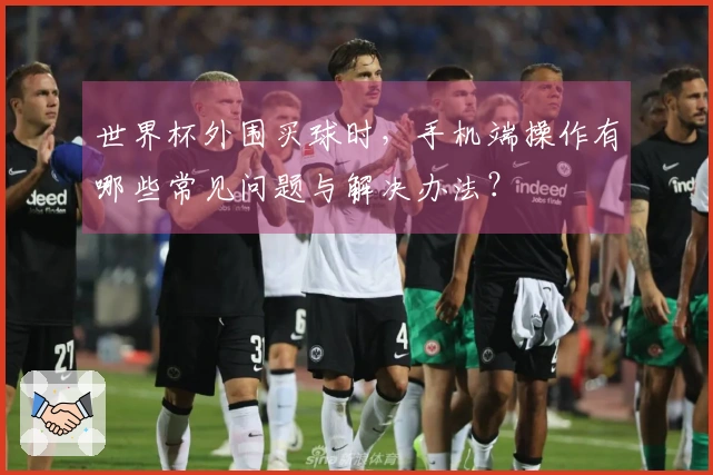 世界杯外围买球时，手机端操作有哪些常见问题与解决办法？