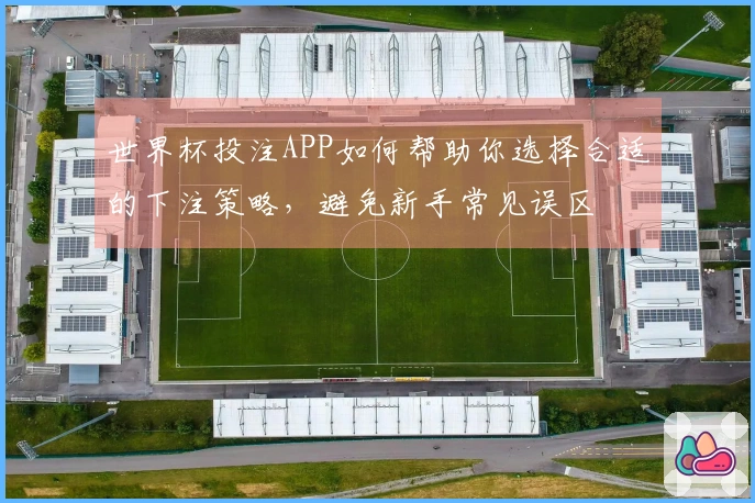 世界杯投注APP如何帮助你选择合适的下注策略，避免新手常见误区