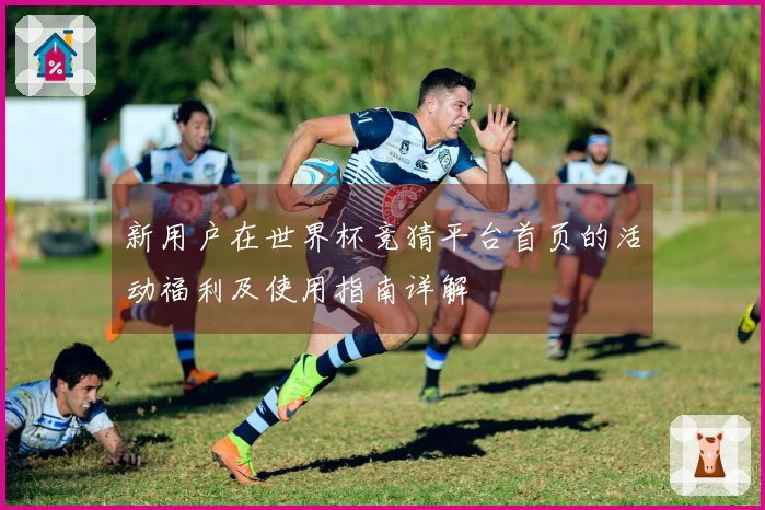 新用户在世界杯竞猜平台首页的活动福利及使用指南详解