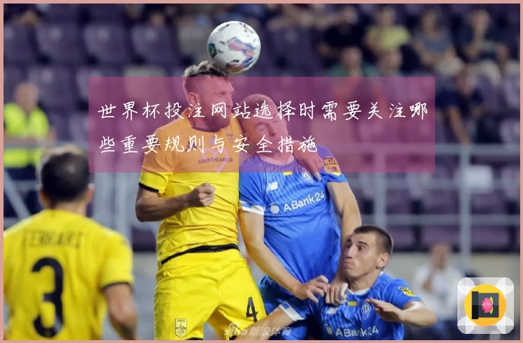 世界杯投注网站选择时需要关注哪些重要规则与安全措施